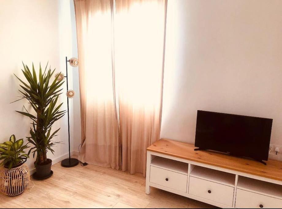 Disfruta, Nuevo En Mentidero Apartment Cadiz Ngoại thất bức ảnh