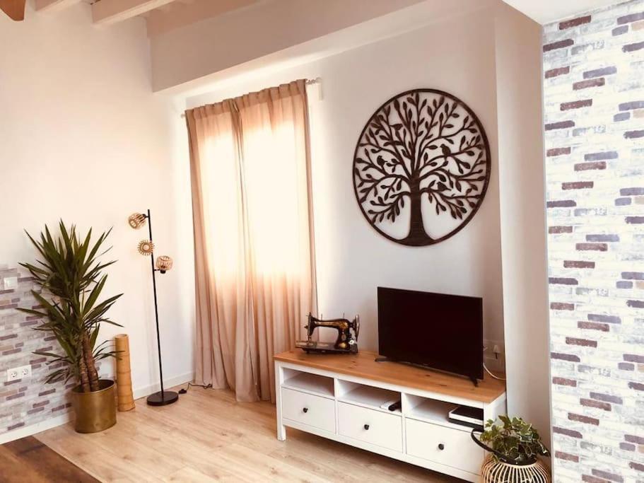 Disfruta, Nuevo En Mentidero Apartment Cadiz Ngoại thất bức ảnh